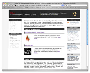 screen capture of TEE standard view web page